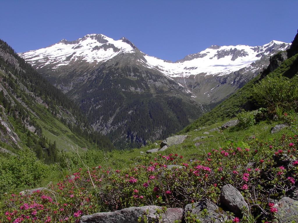 Hotel Maximilian Mayrhofen Kültér fotó